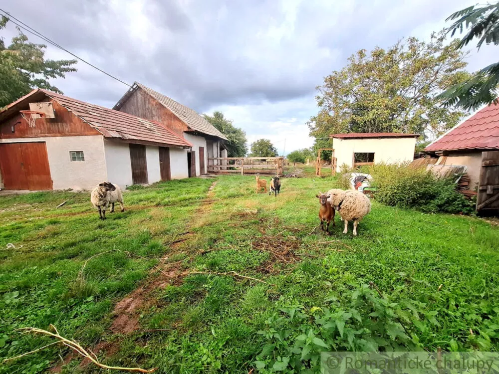 Rodinný dom na predaj 140m2, Svodín, 178243_27