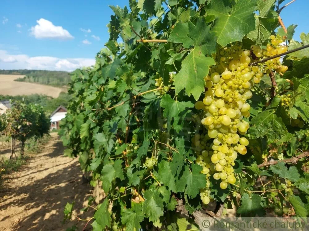 Chata a chalupa na predaj 45m2, Modrany, 117173_35