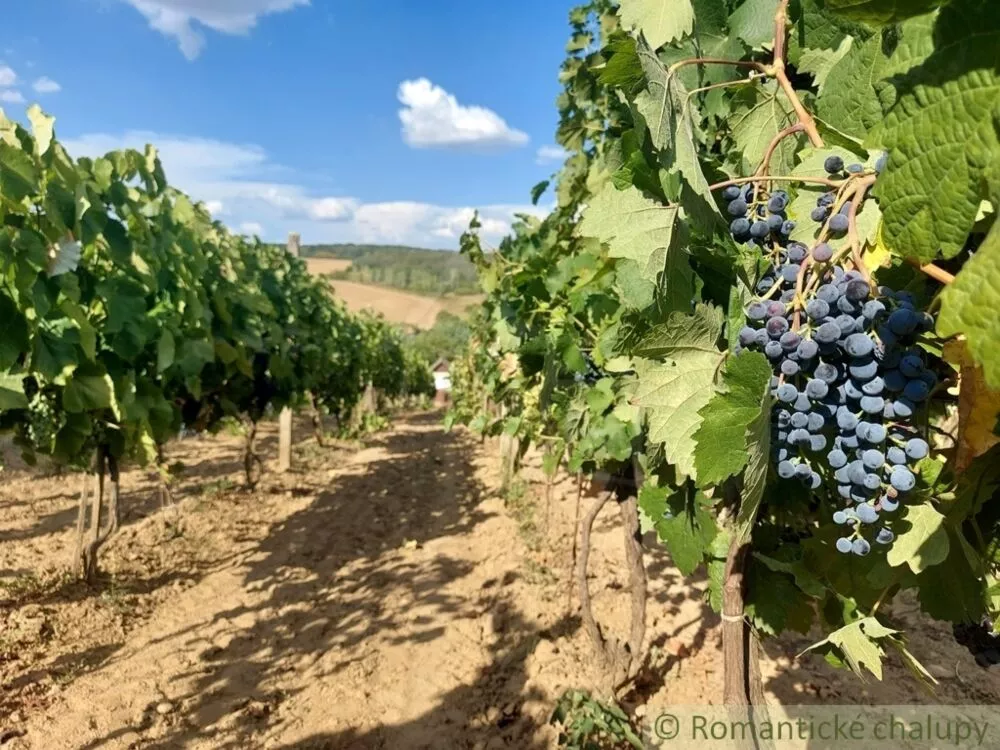 Chata a chalupa na predaj 45m2, Modrany, 117173_36