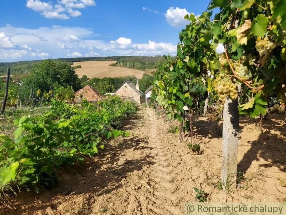 Chata a chalupa na predaj 45m2, Modrany, 117173_38