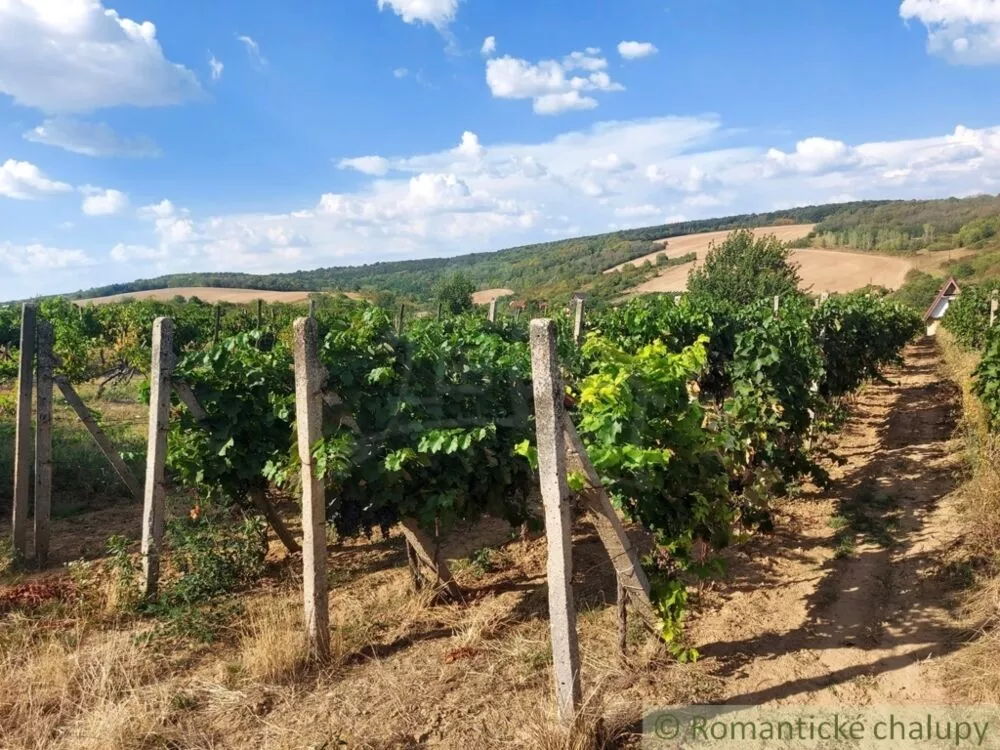 Chata a chalupa na predaj 45m2, Modrany, 117173_40