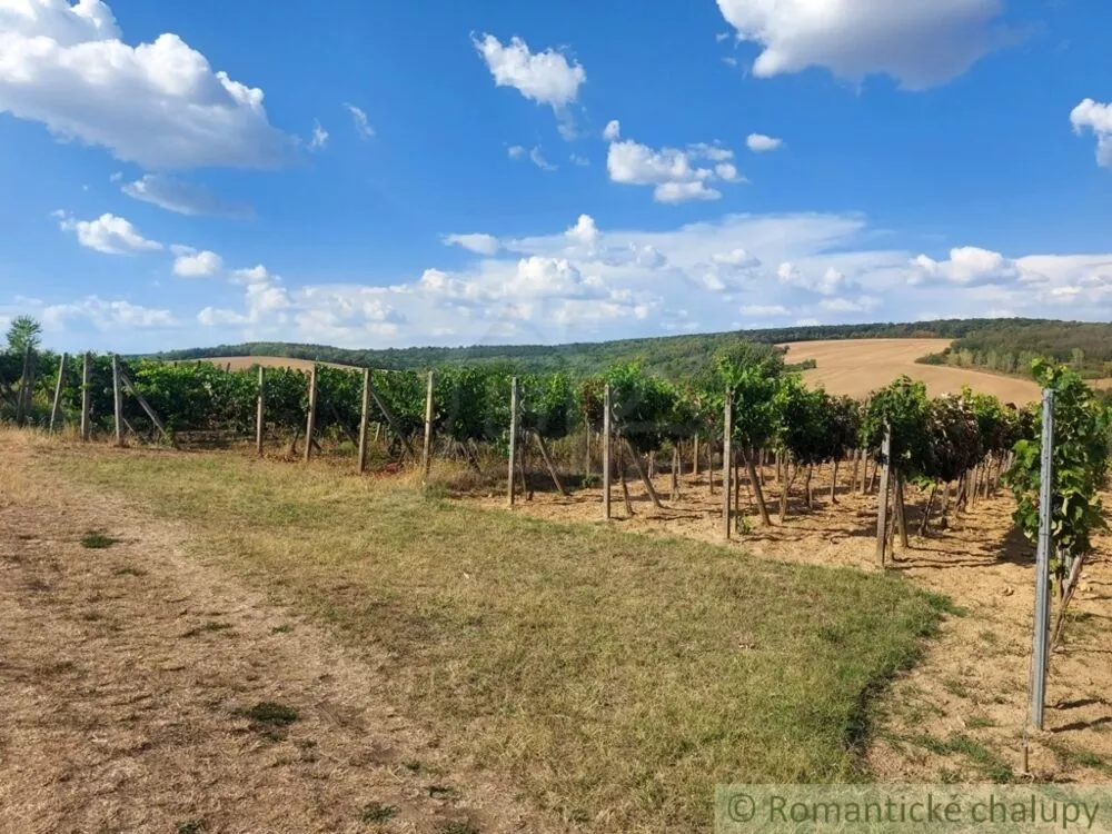 Chata a chalupa na predaj 45m2, Modrany, 117173_41