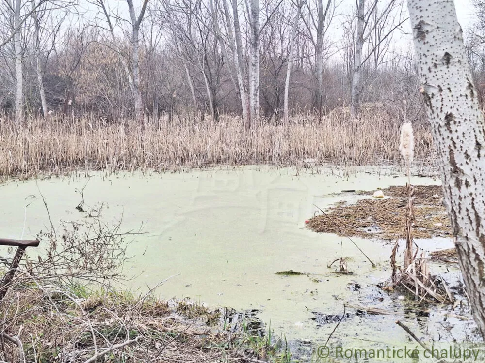 Rodinný dom na predaj 100m2, Iža, 178450_41