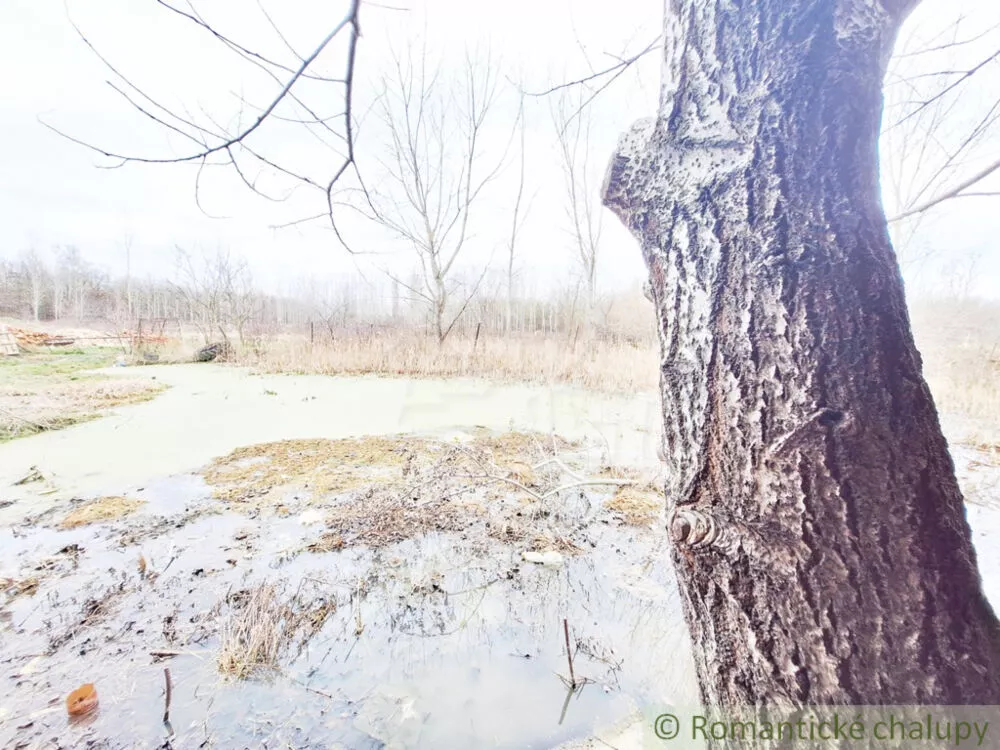 Rodinný dom na predaj 100m2, Iža, 178450_42