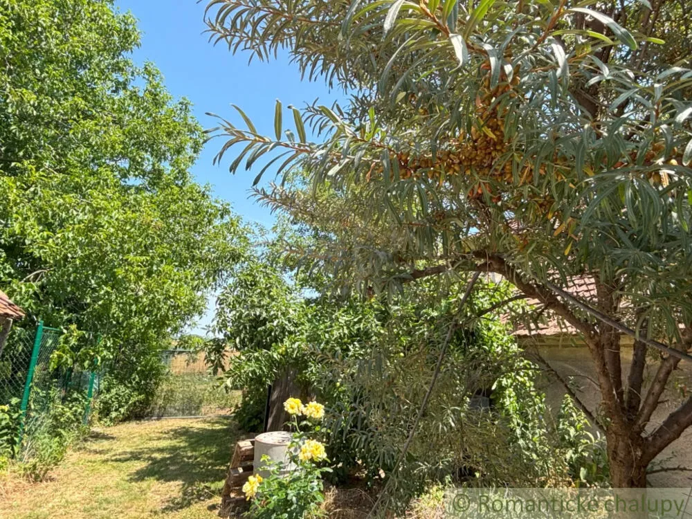 Rodinný dom na predaj 75m2, Závod, 152334_16