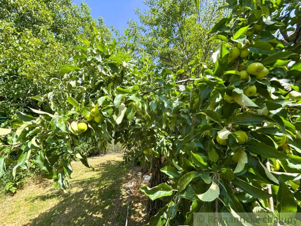 Rodinný dom na predaj 75m2, Závod, 152334_17
