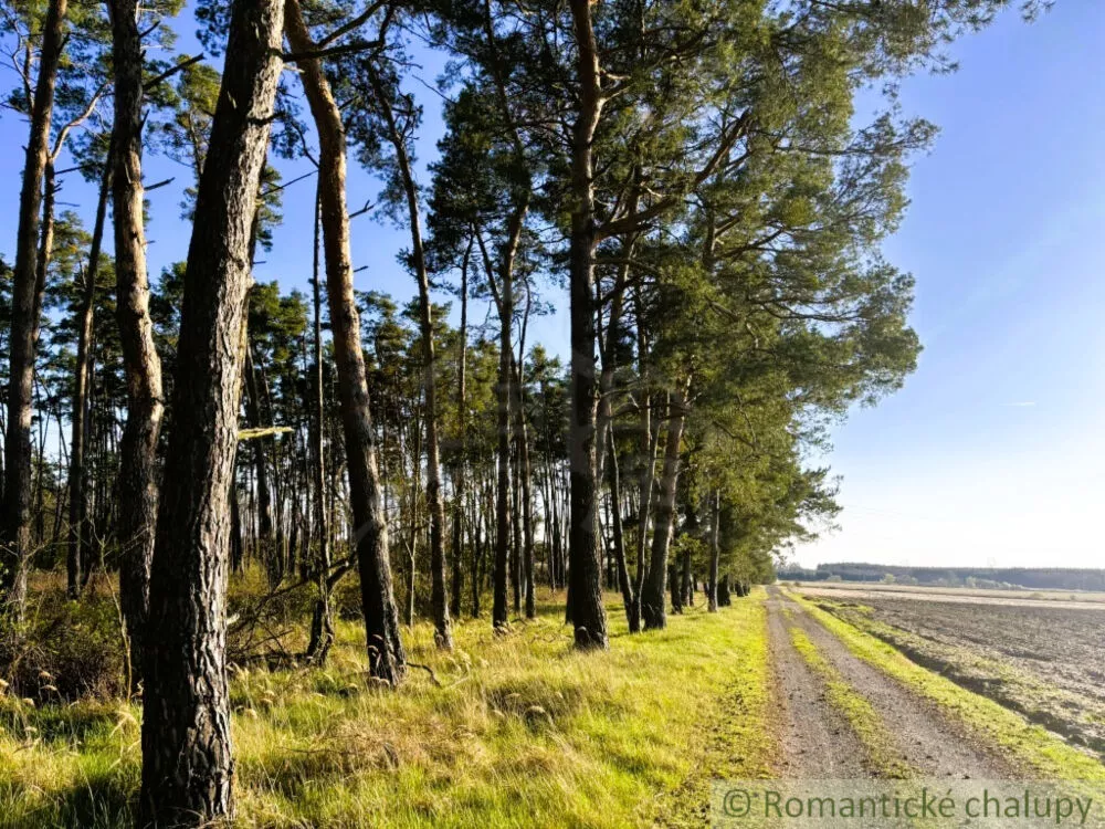 Rodinný dom na predaj 75m2, Závod, 152334_23