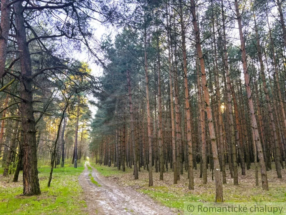Rodinný dom na predaj 75m2, Závod, 152334_24