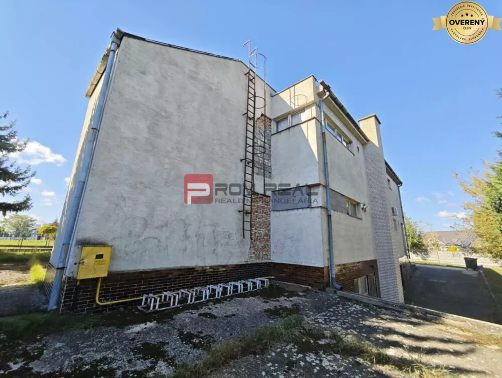 Obchodné priestory na predaj 480m2, Veľké Kostoľany, 177265_4