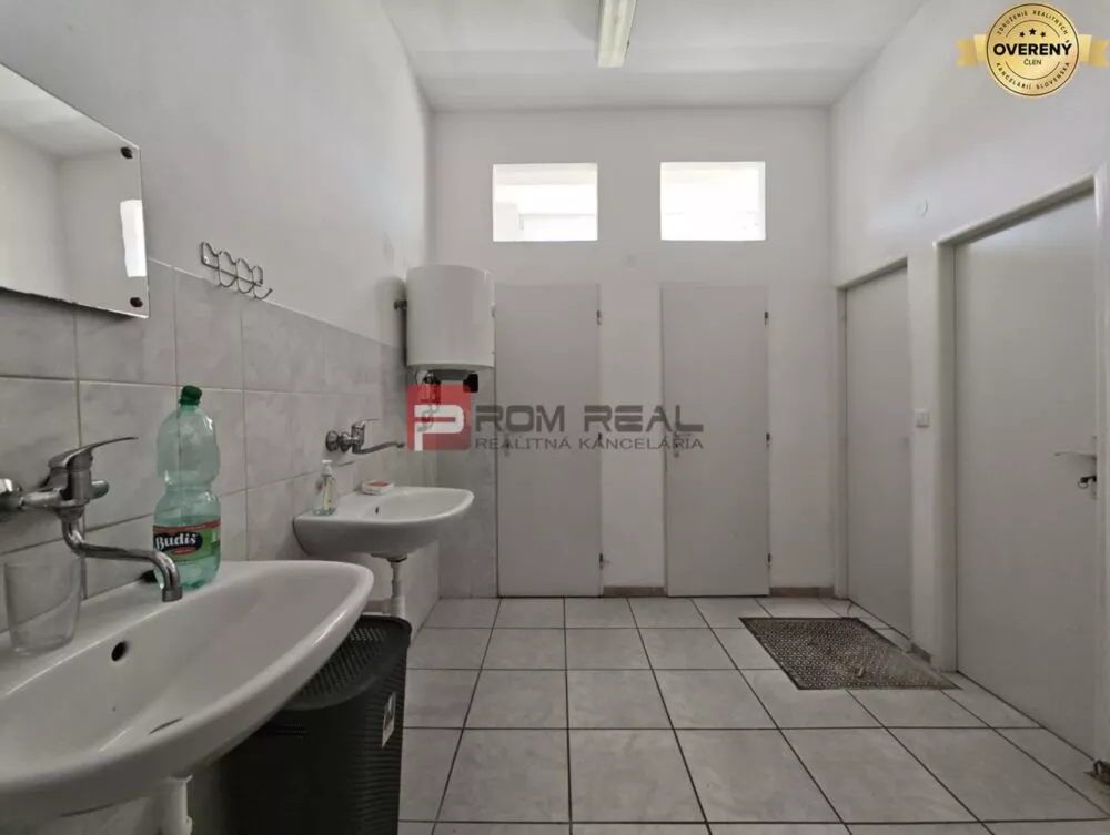 Obchodné priestory na predaj 480m2, Veľké Kostoľany, 177265_9