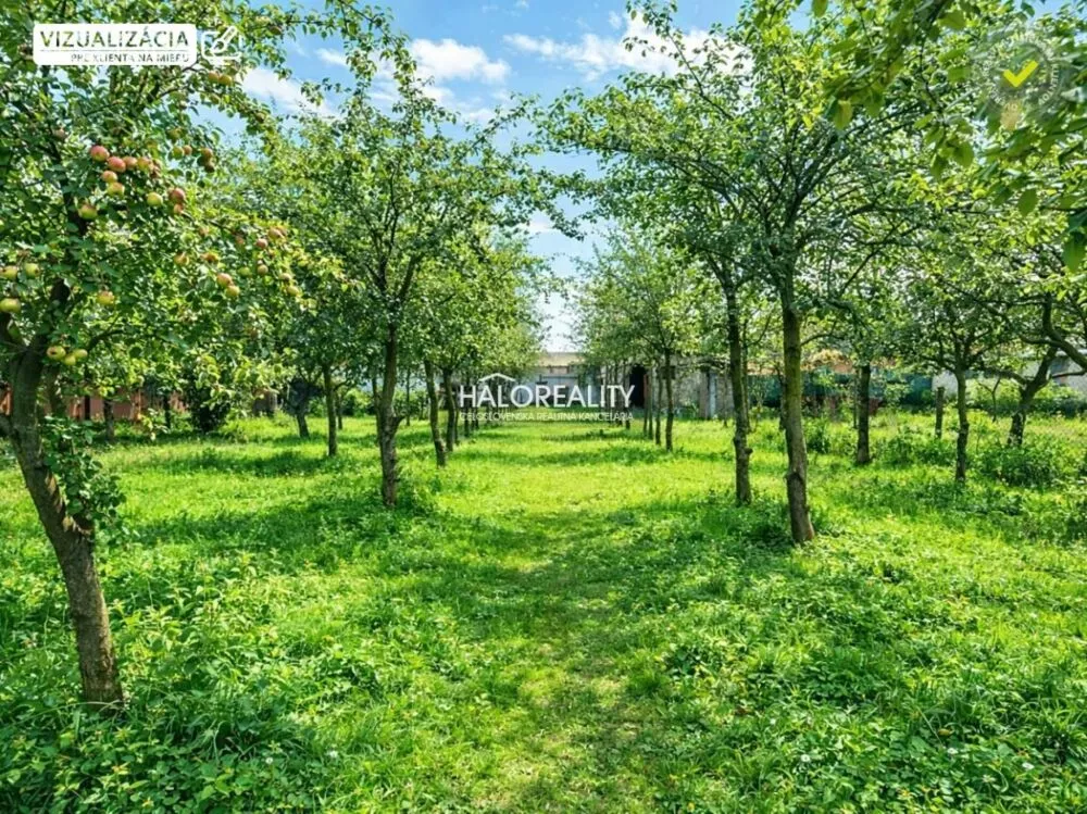 Rodinný dom na predaj 1000m2, Kuraľany, 178606_10