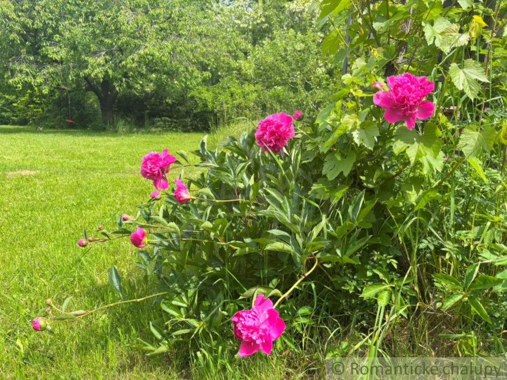 Chata a chalupa na predaj 72m2, Stupava, 153813_27