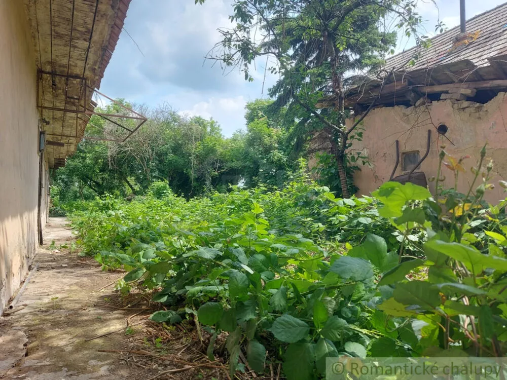 Vidiecky dom na predaj 100m2, Moča, 178714_5