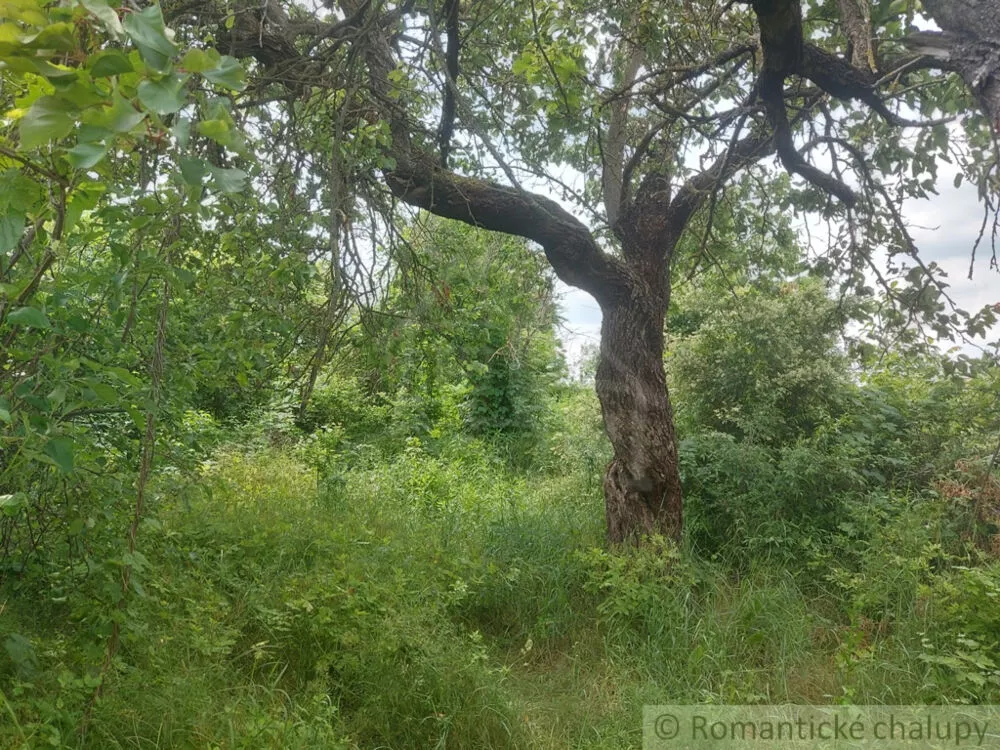 Vidiecky dom na predaj 100m2, Moča, 178714_11