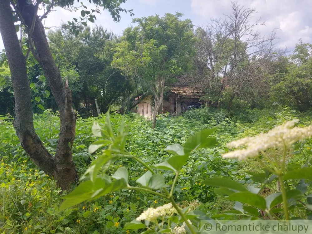 Vidiecky dom na predaj 100m2, Moča, 178714_12