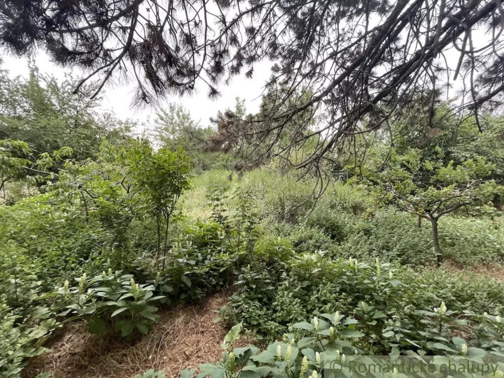 Rodinný dom na predaj 130m2, Cabaj - Čápor, 156090_15