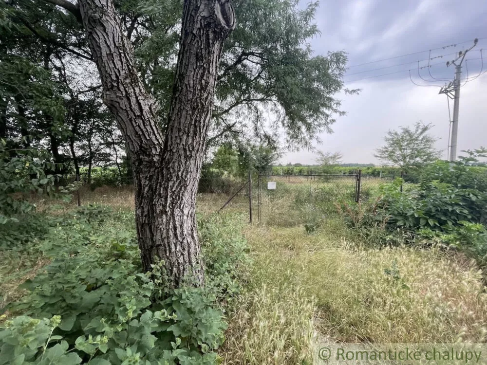 Rodinný dom na predaj 130m2, Cabaj - Čápor, 156090_17