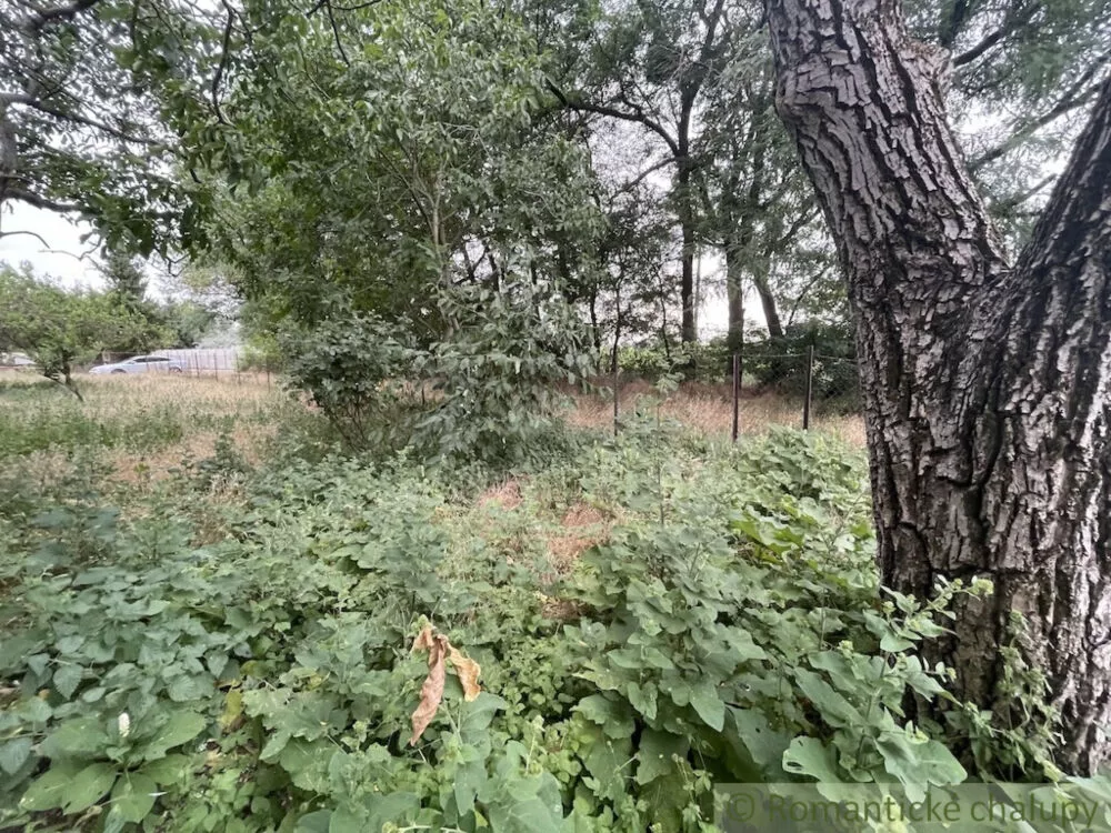 Rodinný dom na predaj 130m2, Cabaj - Čápor, 156090_18