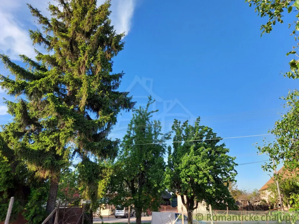 Záhrada na predaj 755m2, Moča, 178882_12