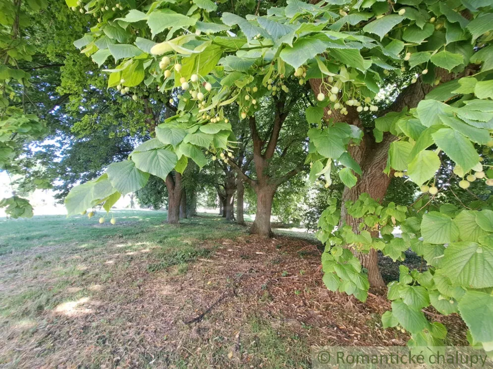 Historický objekt na predaj 955m2, Hruboňovo, 156538_38