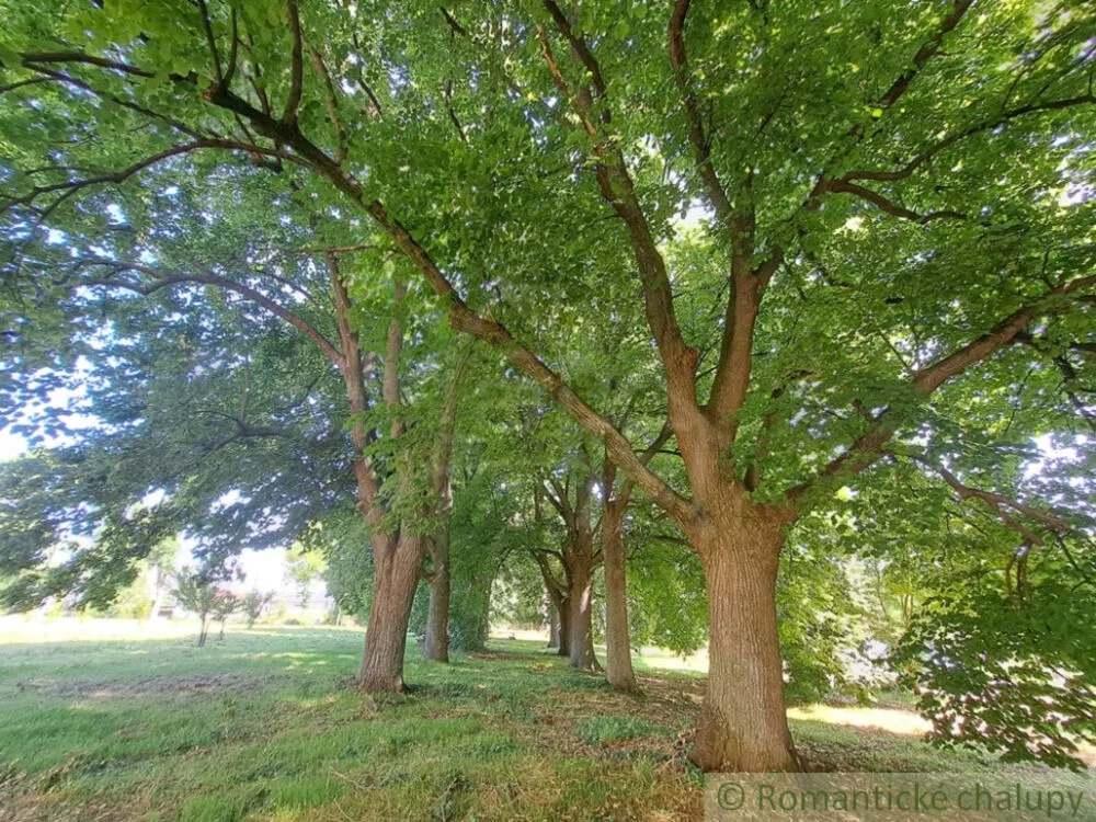 Historický objekt na predaj 955m2, Hruboňovo, 156538_39