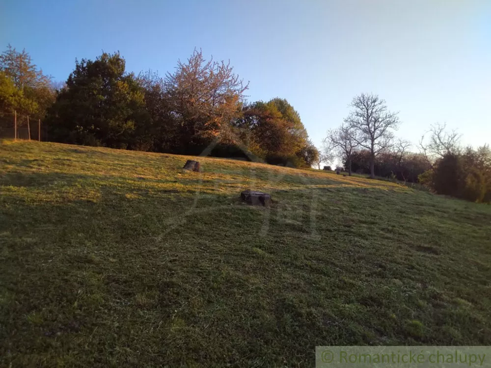 Pozemok pre rod. domy na predaj 1403m2, Podhorany, 177823_9