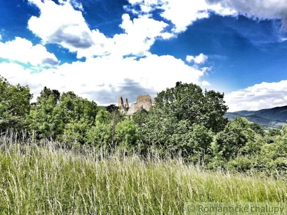 Lúka, pasienok na predaj 29795m2, Divín, 74979_0