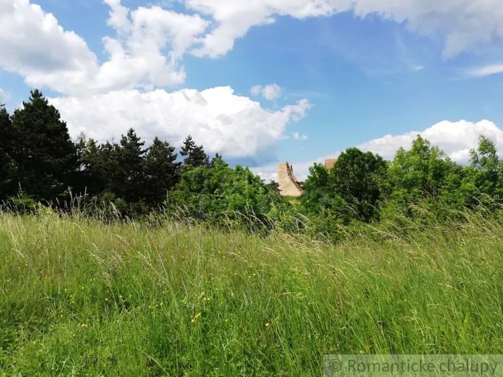 Lúka, pasienok na predaj 29795m2, Divín, 74979_4