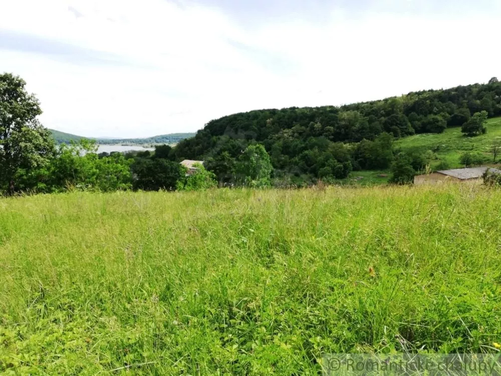 Lúka, pasienok na predaj 29795m2, Divín, 74979_5