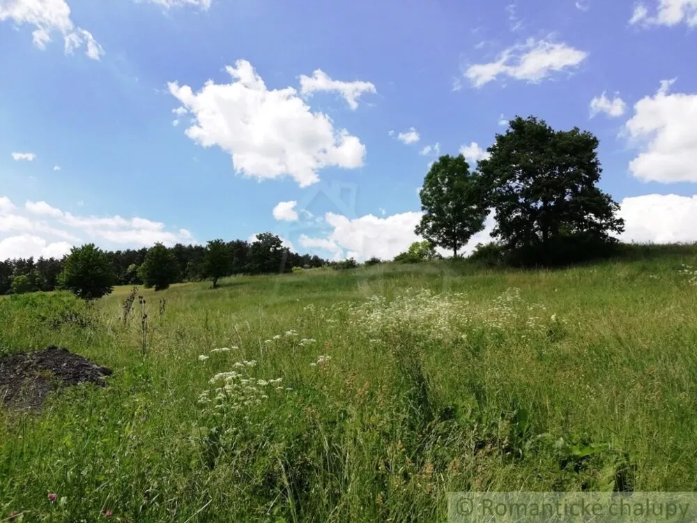 Lúka, pasienok na predaj 29795m2, Divín, 74979_6