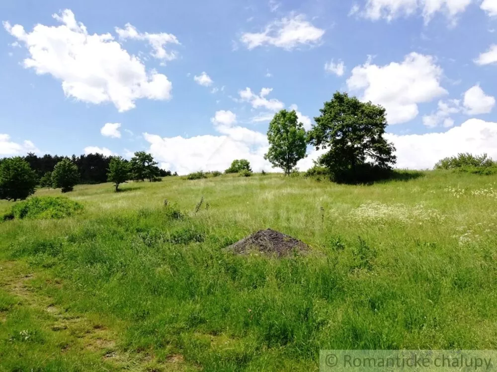 Lúka, pasienok na predaj 29795m2, Divín, 74979_7