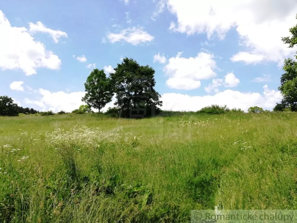 Lúka, pasienok na predaj 29795m2, Divín, 74979_8