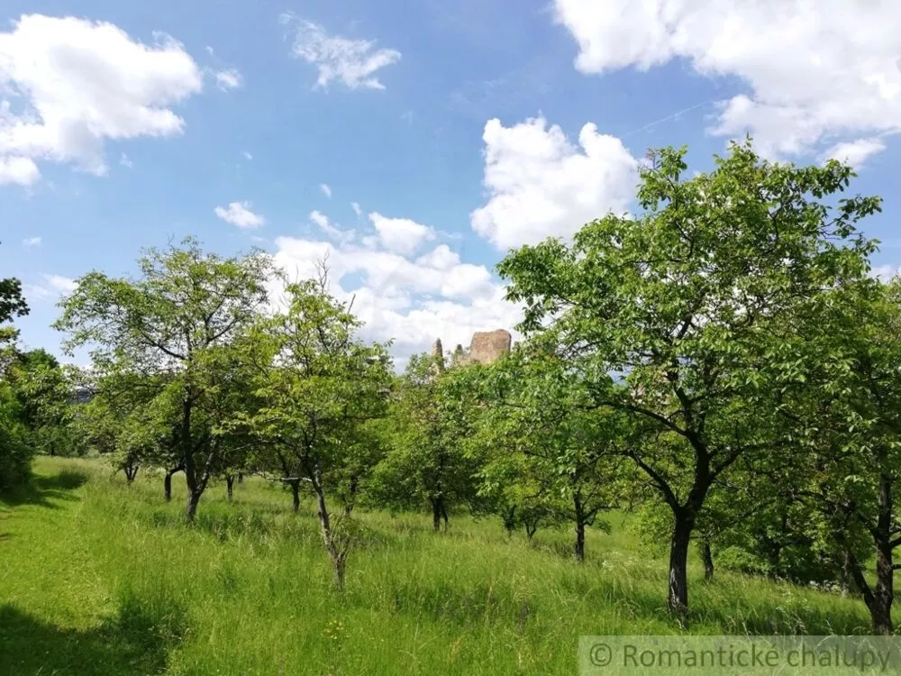 Lúka, pasienok na predaj 29795m2, Divín, 74979_10