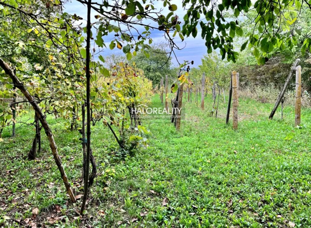 Záhradná chatka na predaj 20m2, Mýtne Ludany, 179069_17