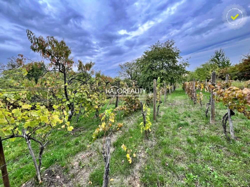 Záhradná chatka na predaj 20m2, Mýtne Ludany, 179069_19