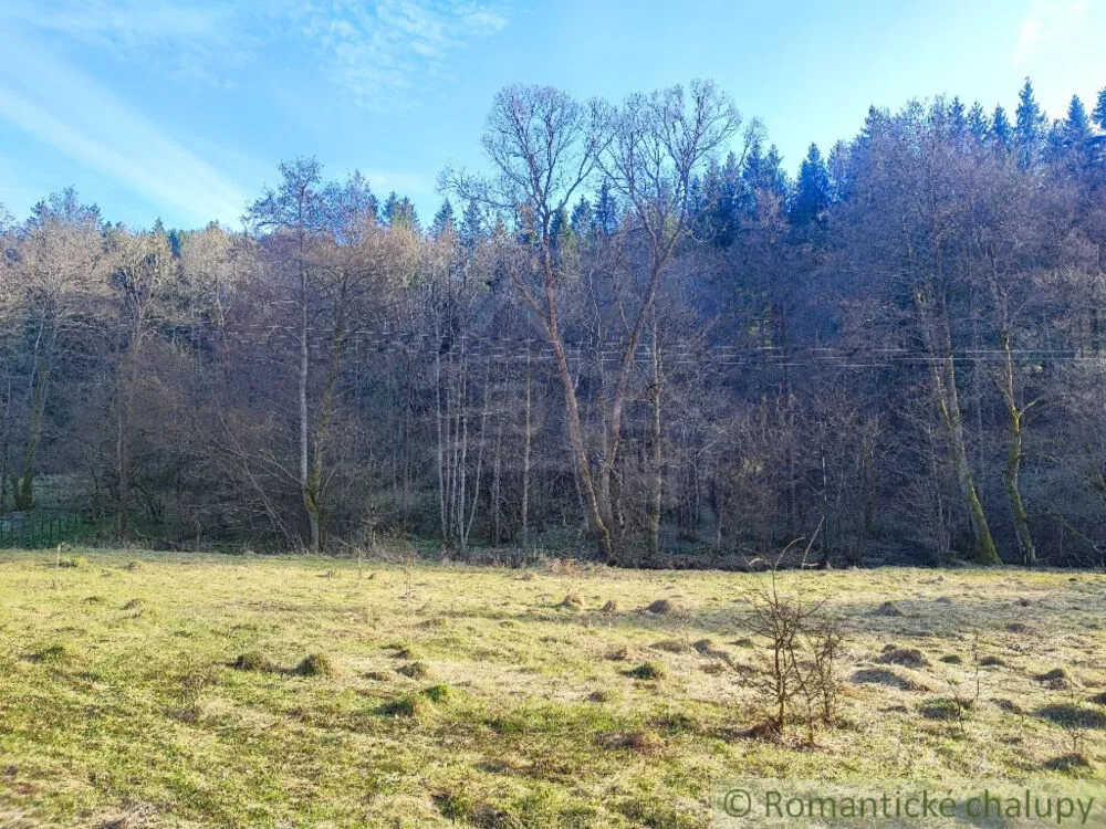 Lúka, pasienok na predaj 850m2, Ľubietová, 179169_3