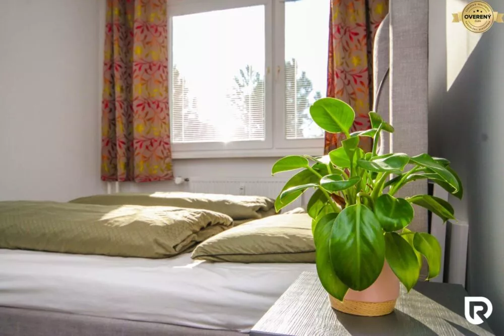 2 izbový byt na predaj 50m2, Jedlíkova, Žilina, 179195_0