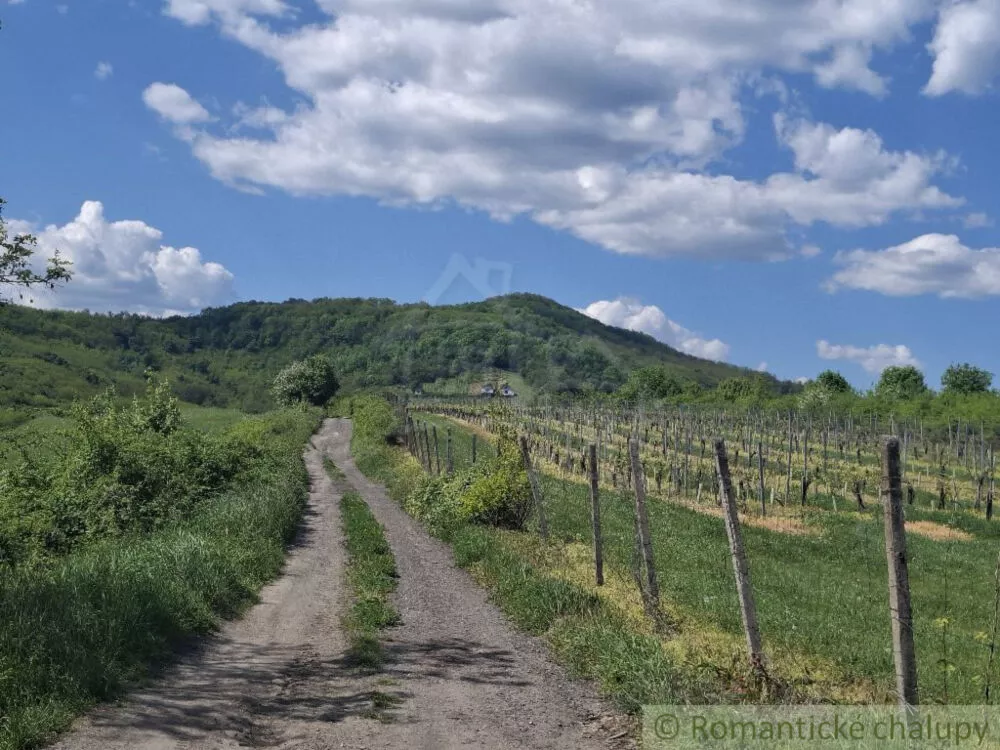Chata a chalupa na predaj 100m2, Veľký Krtíš, 150533_0