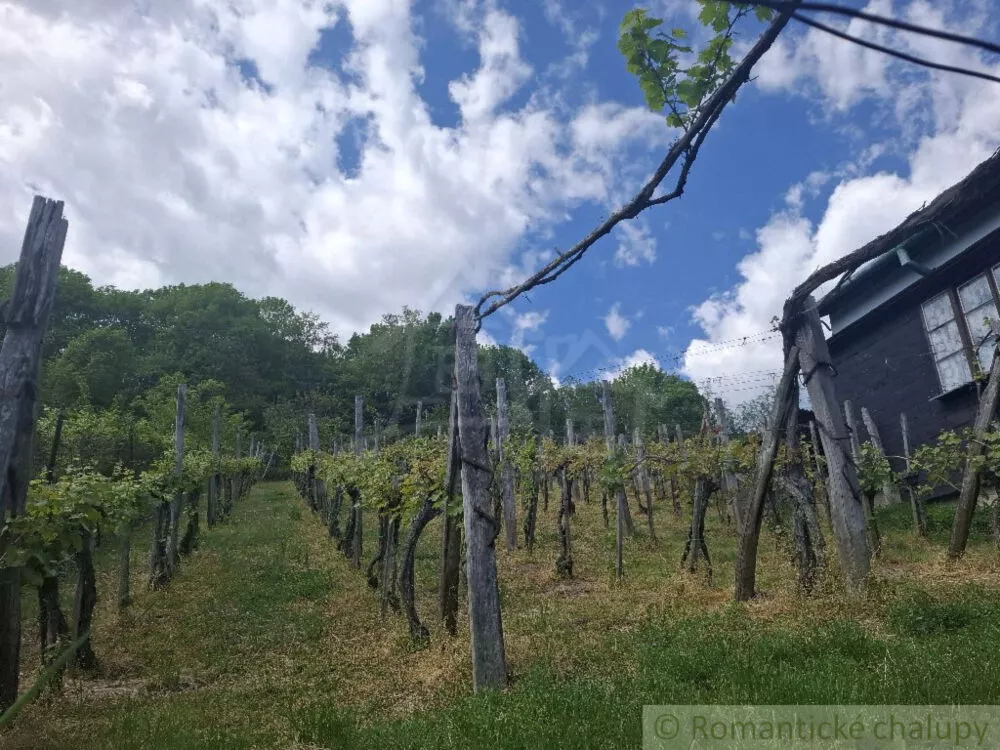 Chata a chalupa na predaj 100m2, Veľký Krtíš, 150533_23