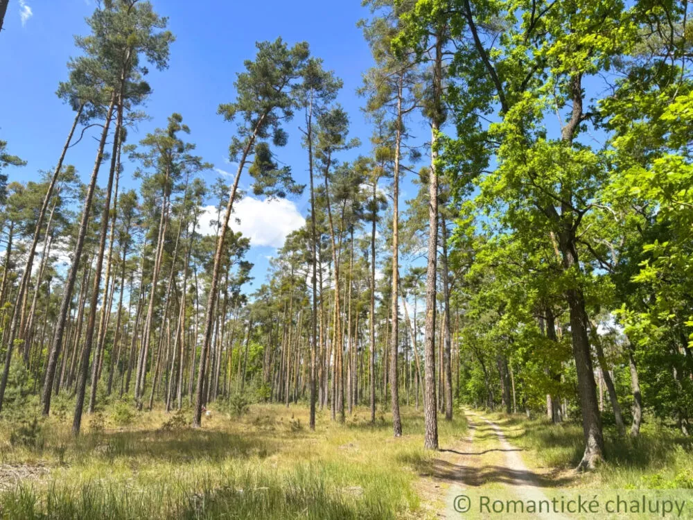Rodinný dom na predaj 154m2, Šaštín - Stráže, 178651_21