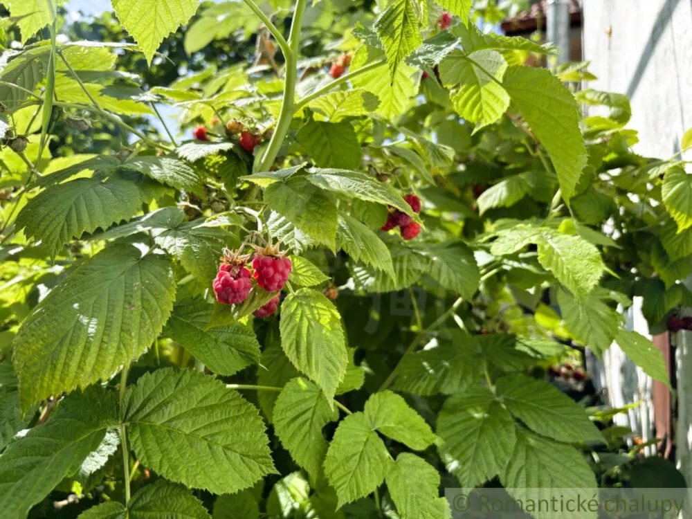 Chata a chalupa na predaj 32m2, Stupava, 153586_19