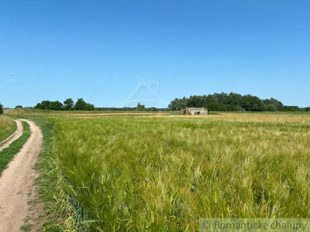 Chata a chalupa na predaj 60m2, Malé Leváre, 161420_6