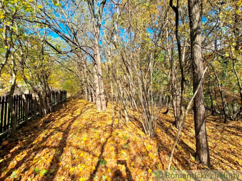 Rekreačný pozemok na predaj 3000m2, Chľaba, 179237_5
