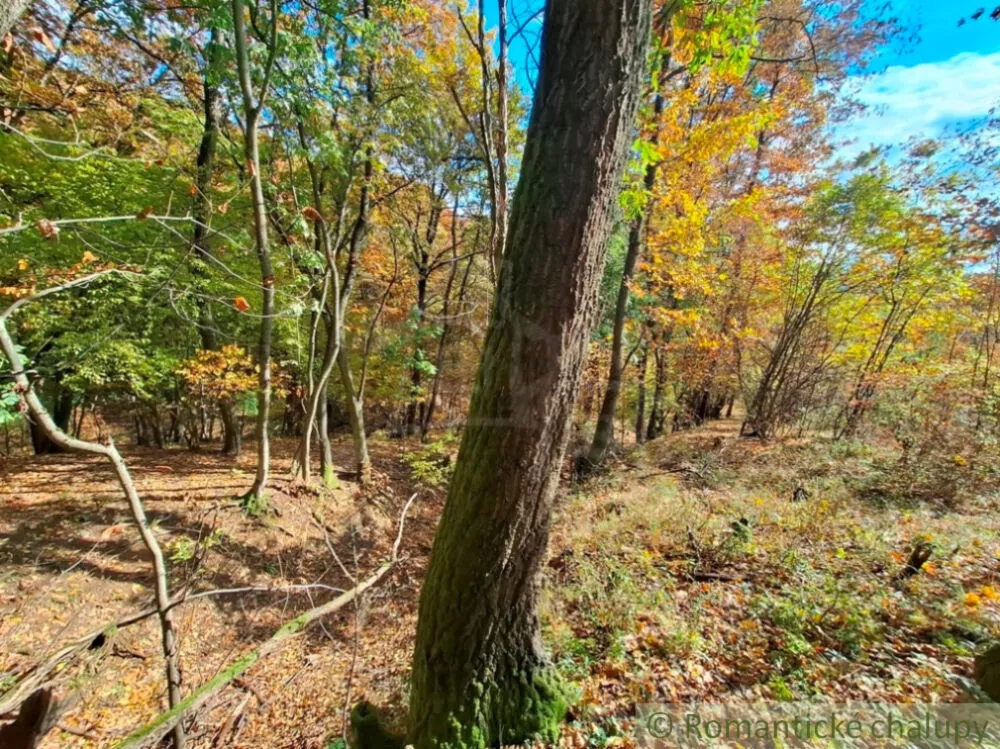 Rekreačný pozemok na predaj 3000m2, Chľaba, 179237_6