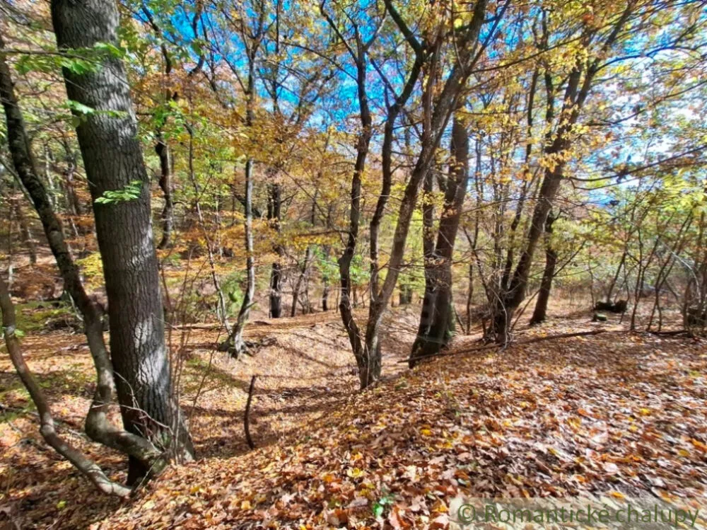 Rekreačný pozemok na predaj 3000m2, Chľaba, 179237_7