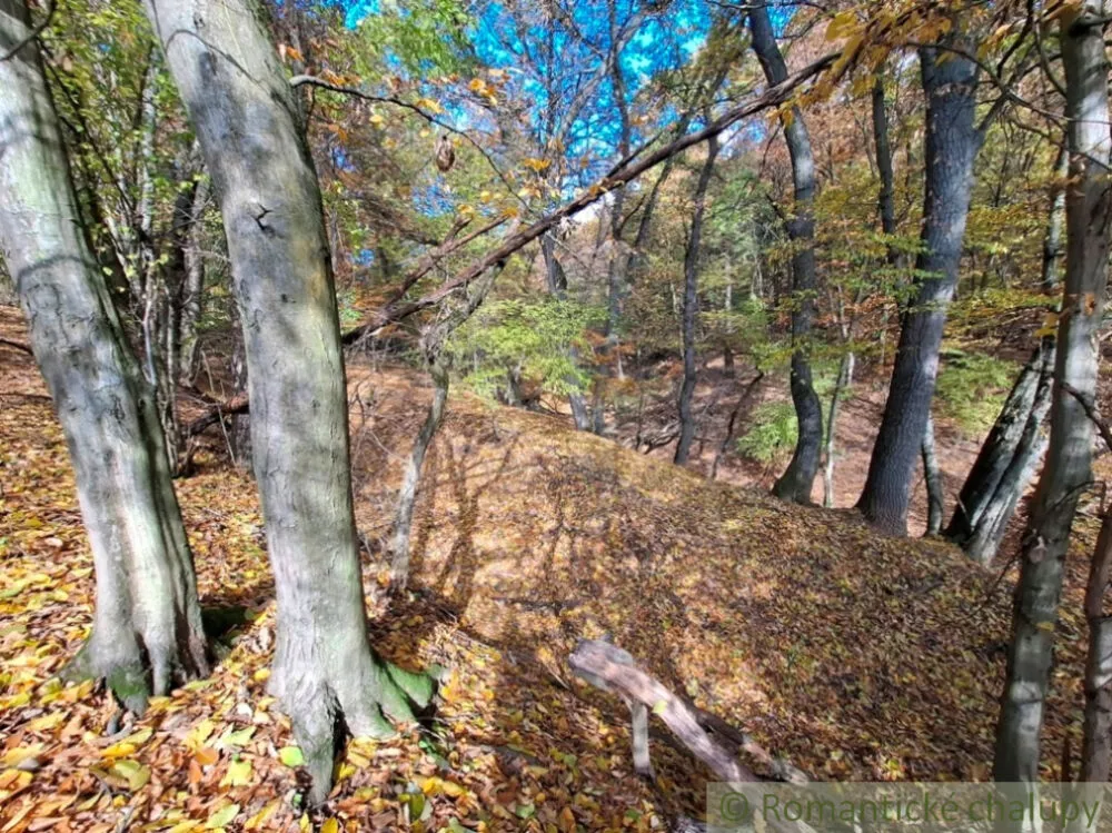 Rekreačný pozemok na predaj 3000m2, Chľaba, 179237_8