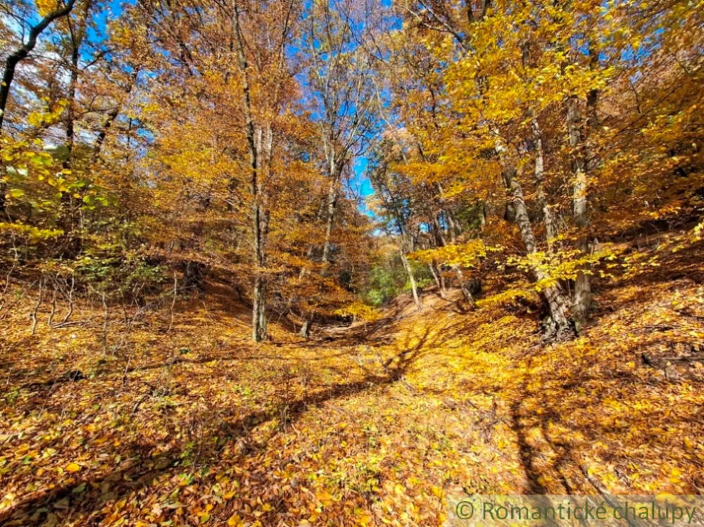 Rekreačný pozemok na predaj 3000m2, Chľaba, 179237_10