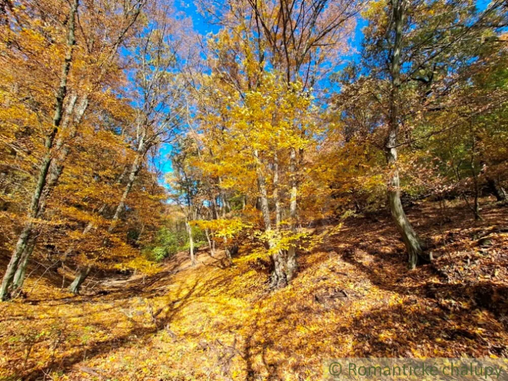 Rekreačný pozemok na predaj 3000m2, Chľaba, 179237_11