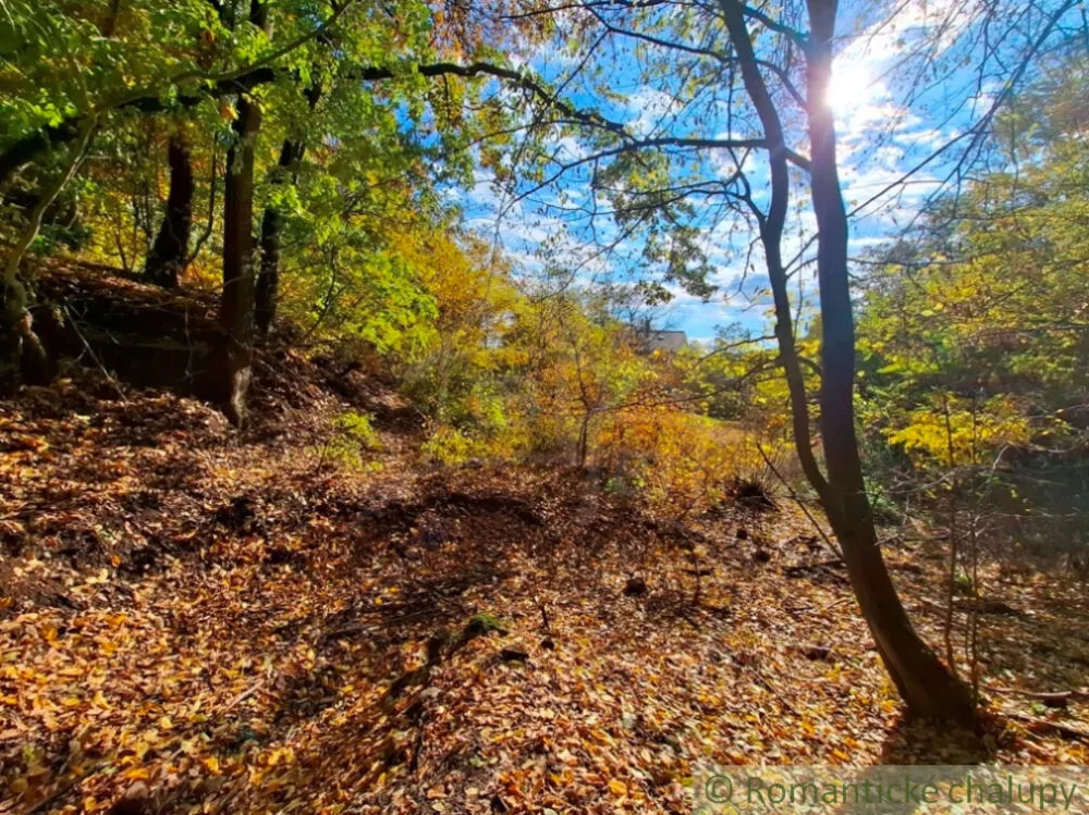 Rekreačný pozemok na predaj 3000m2, Chľaba, 179237_12