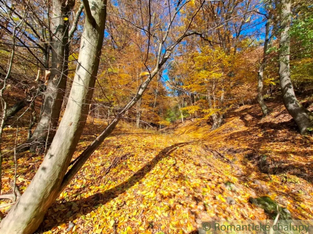 Rekreačný pozemok na predaj 3000m2, Chľaba, 179237_13